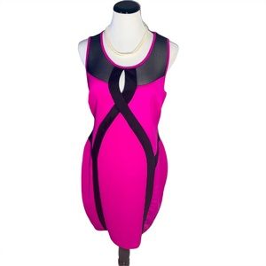 Magenta & Black Mesh Forever 21 Dress